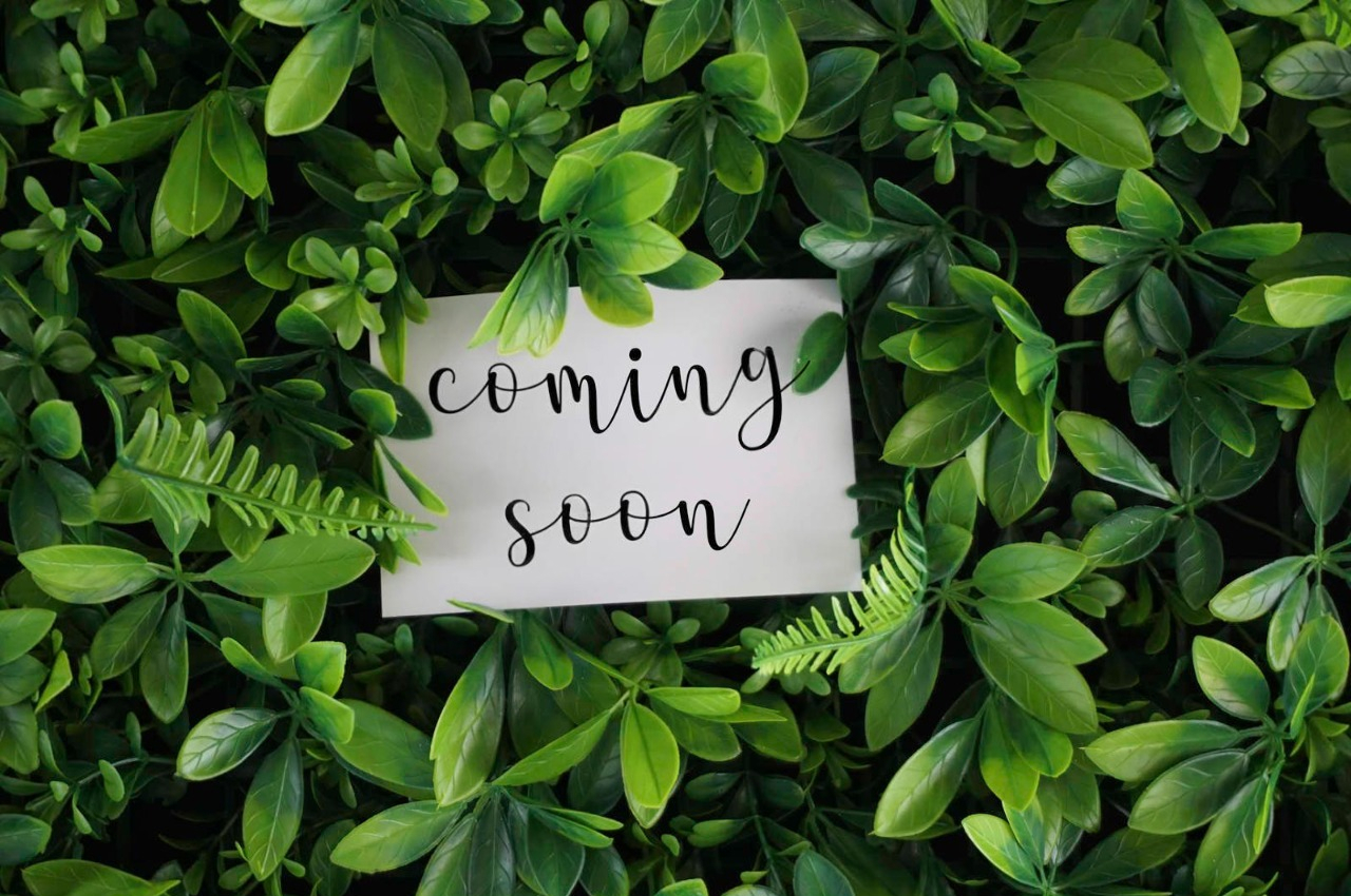 Coming Soon